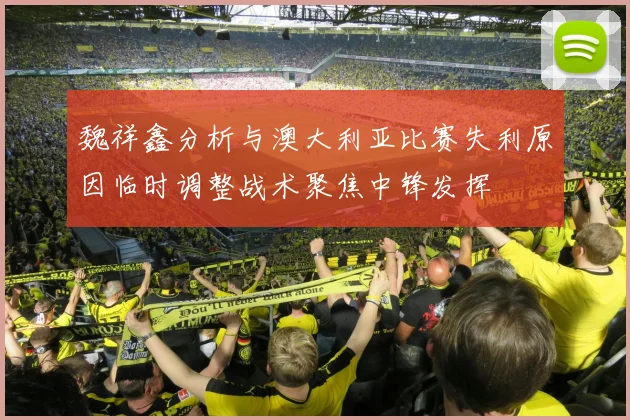 魏祥鑫分析与澳大利亚比赛失利原因临时调整战术聚焦中锋发挥